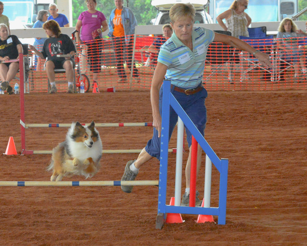 woman runs with a dog as it goes over a jump at a compitition