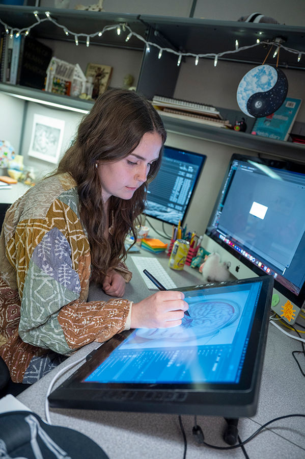 A female college student sits in a cubicle with an electronic drawing tablet in front of her. She is using a stylus to work on a digital illustration of the human brain.