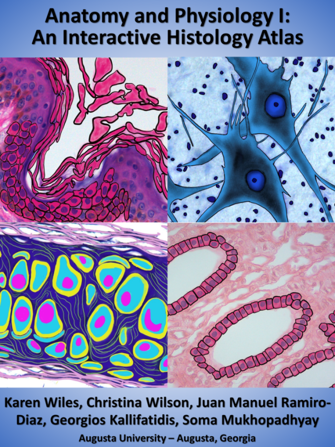 The cover of a scientific book titled "Anatomy and Physiology I: An Interactive Histology Atlas" with four illustrations depicting cells.