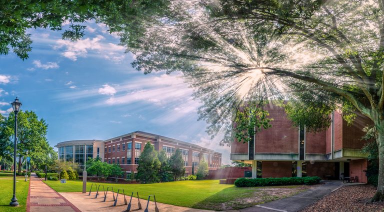 Buildings with sun peeking through trees