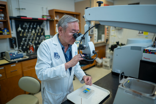 A male scientist wearing a lab coat looks into a large microscope at slides on a table.