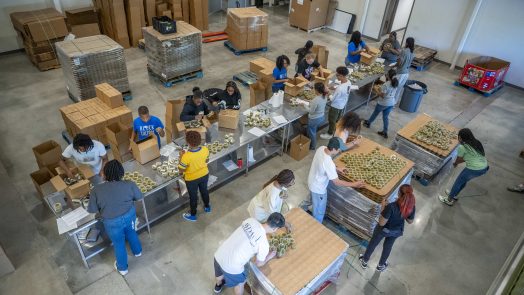 More than 20 students sort items at a food bank.