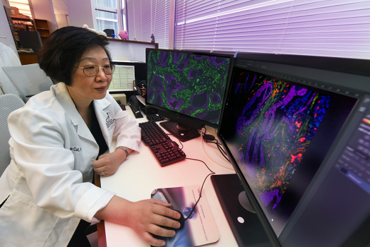 A woman wearing a scientific lab coat sits at a computer with two screens and uses the mouse to look at different areas of some microscopic images.