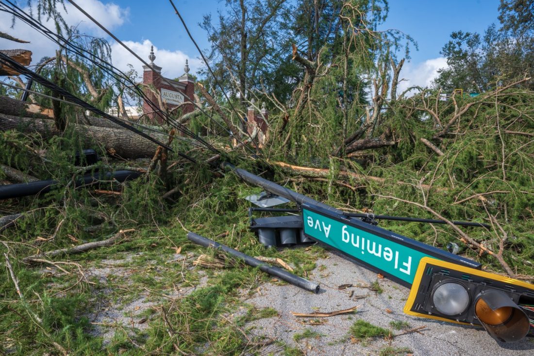 A street sign and stop light lie on ground in front of an uprooted fallen tree.