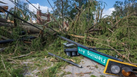 A street sign and stop light lie on ground in front of an uprooted fallen tree.