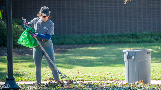 A woman rakes leaves.