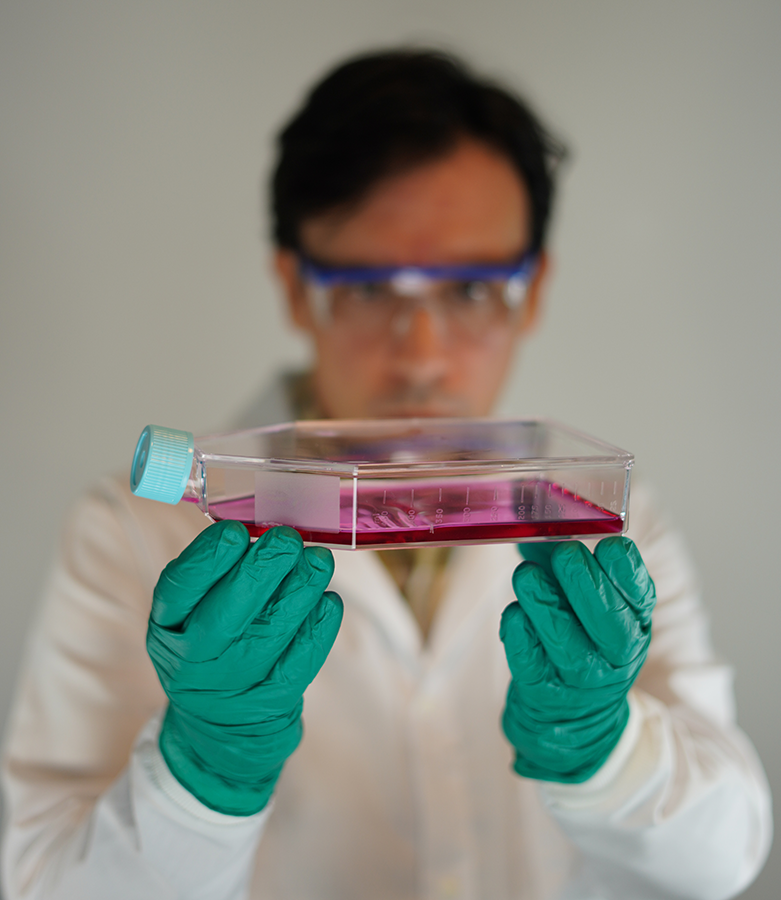 A male scientist holds up a sample of cells in an enclosed container. He is wearing eye protection, a lab coat and gloves.