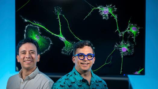 Two men stand in front of a screen. The screen features an image of several cells that can be seen under a microscope.