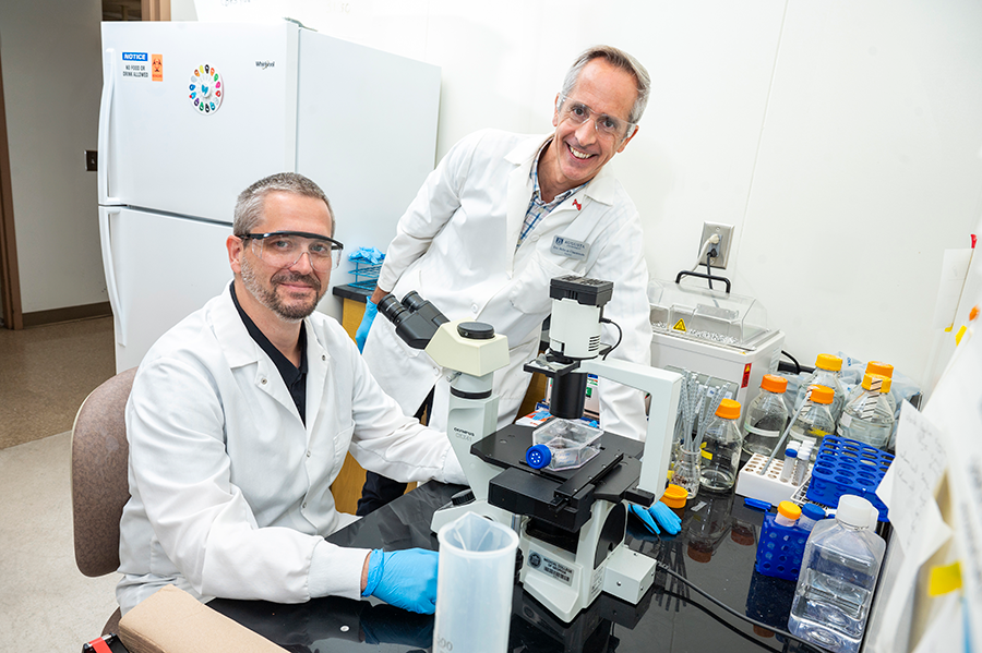 Two male scientists in a lab look at a specimen in a dish.