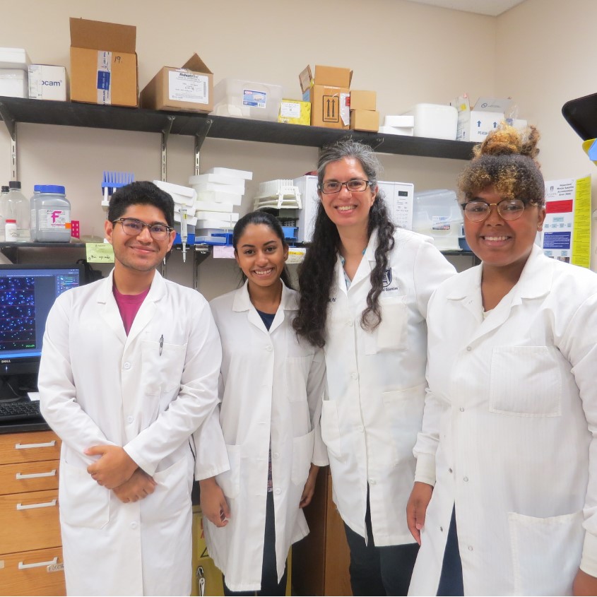 Researchers in white lab coats (one man on the left, three women to the right) stand for a group photo in their lab. The woman on the right of the photo, Dr. Sabbatini, is the principal investigator and an mentor to the other researchers, her students