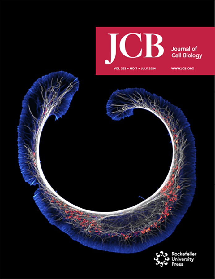 The July 2024 cover of the publication Journal of Cell Biology showing a microscopic view of a single cell.