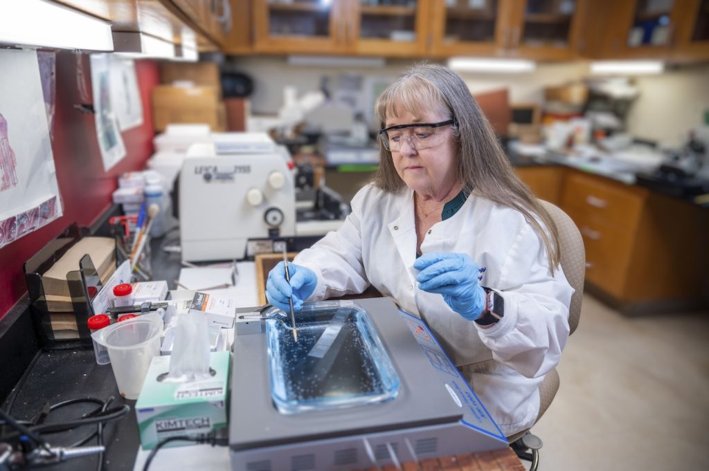 A woman scientist performs an experiment in a lab