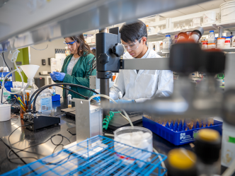A male and female scientist stand beside each other and observe aspects of a fruit fly experiment.