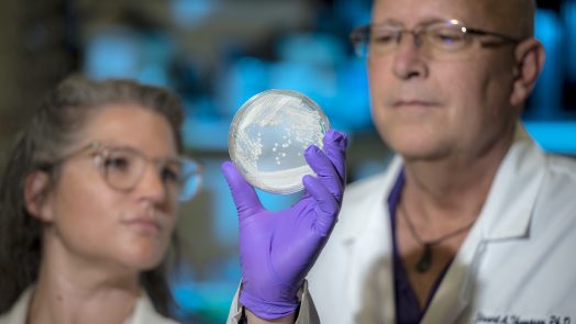 Researchers in a lab look at a sample in a Petri dish.