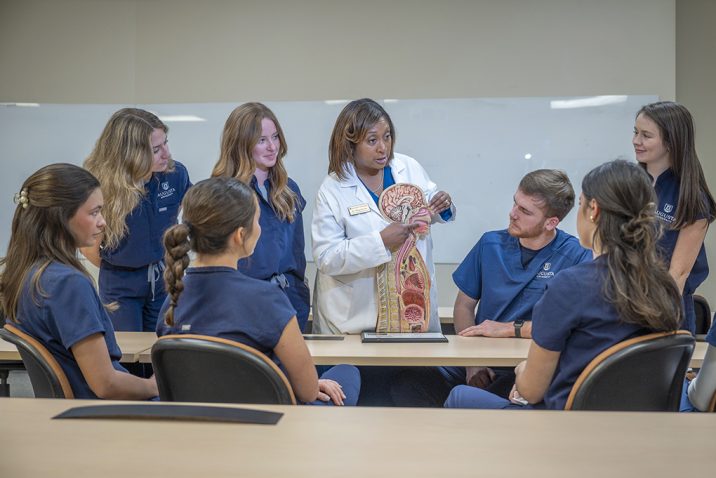 Female professor talking to students with a diagram