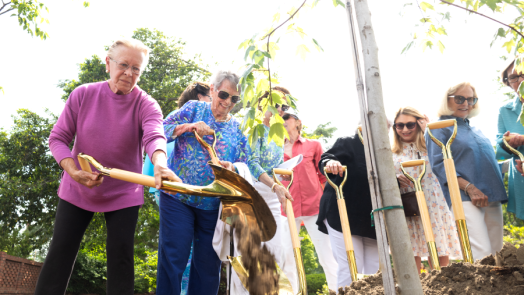 Women use shovels to plant a young tree on a college campus.