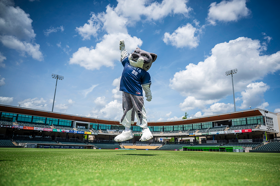 A college mascot depicting a jaguar in a baseball jersey, jumps in the outfield of a minor league baseball stadium.