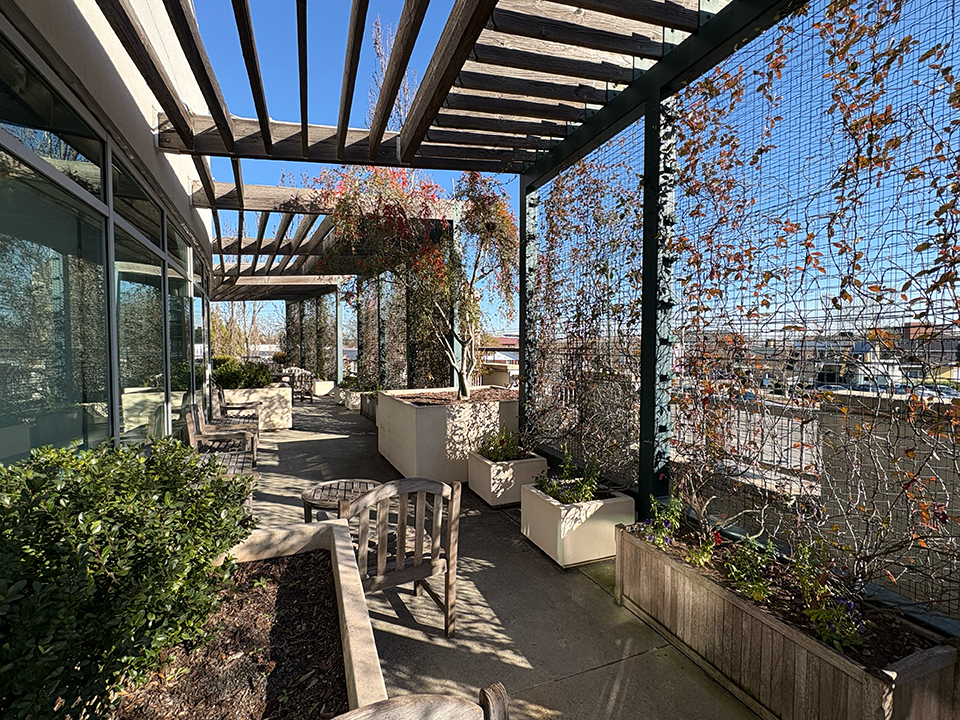A rooftop garden in disrepair. Plants are dead, old wooden furniture is worn and planters are cracked.