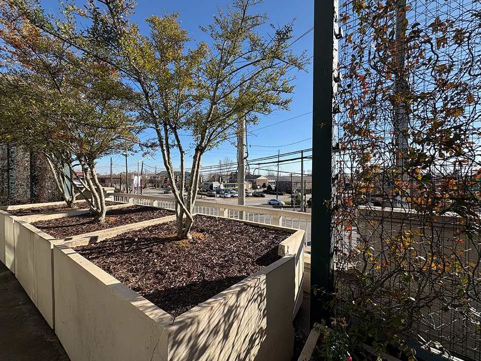 A rooftop garden in disrepair. Plants are dead, old wooden furniture is worn and planters are cracked.