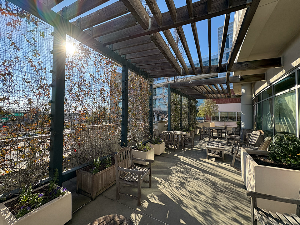 A rooftop garden in disrepair. Plants are dead, old wooden furniture is worn and planters are cracked.