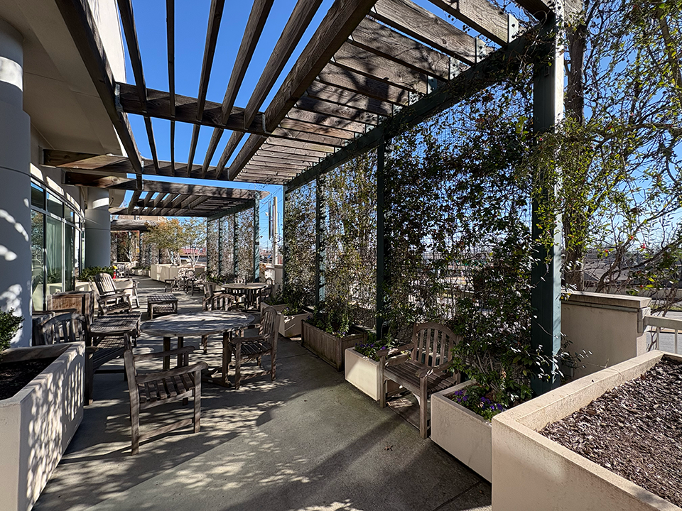 A rooftop garden in disrepair. Plants are dead, old wooden furniture is worn and planters are cracked.