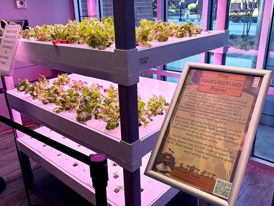 A vertical hydroponic micro-farm sits in front of a window in a research building. Beside it is a sign with more information about it.