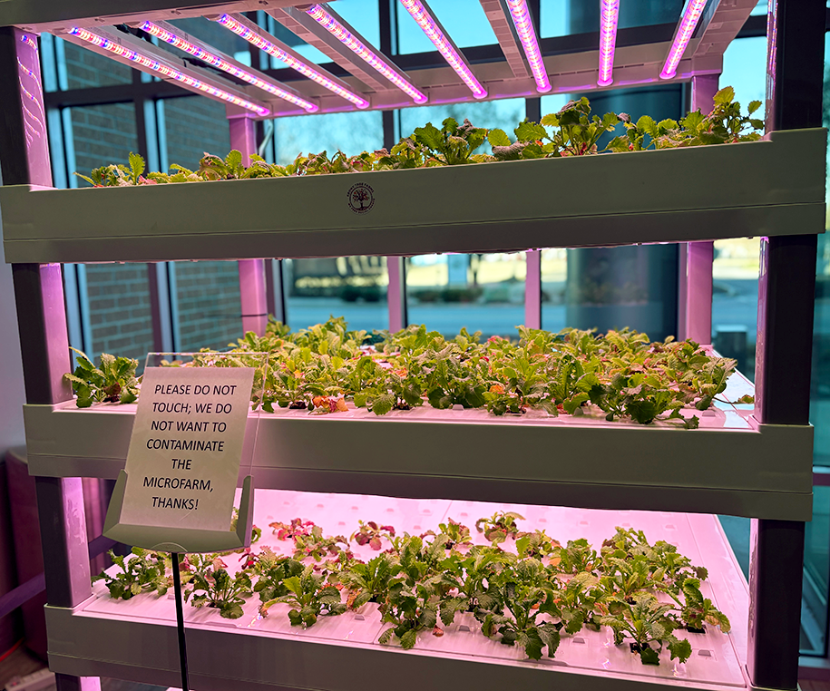 A vertical hydroponic garden.