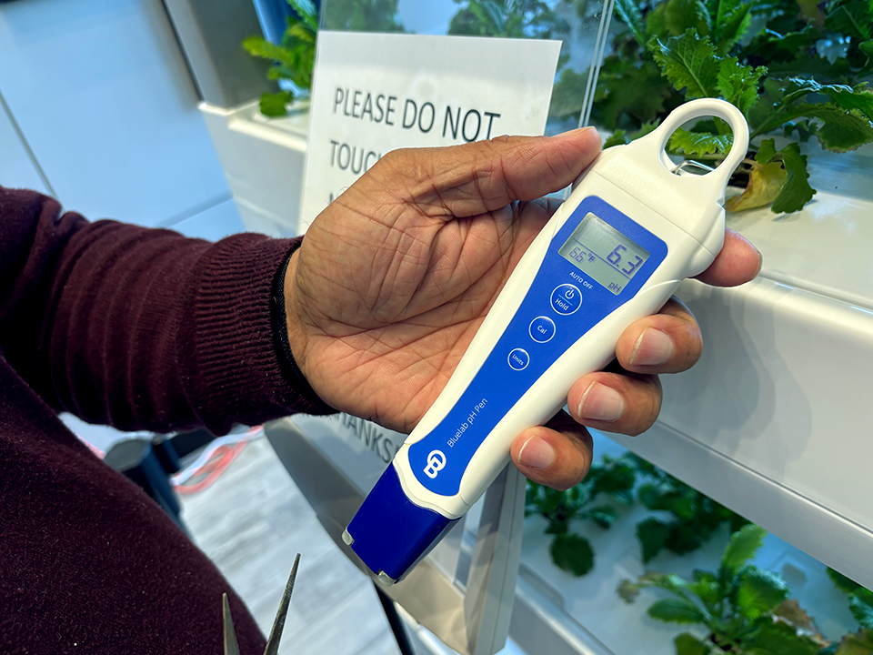 A man checks the pH levels of a hydroponic garden.
