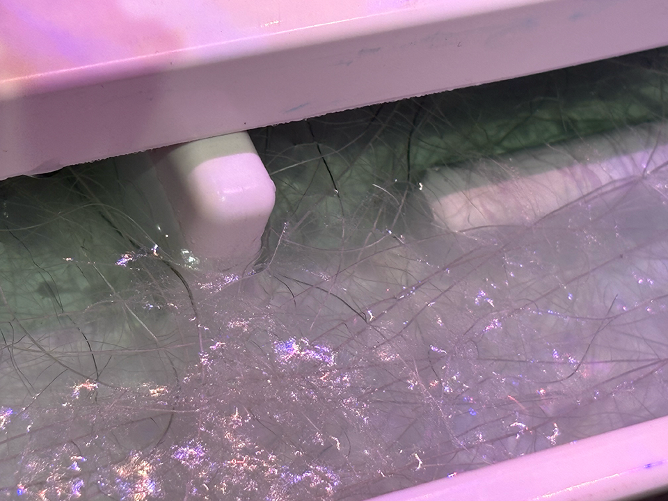 Iridescent plant roots growing in a hydroponic garden.