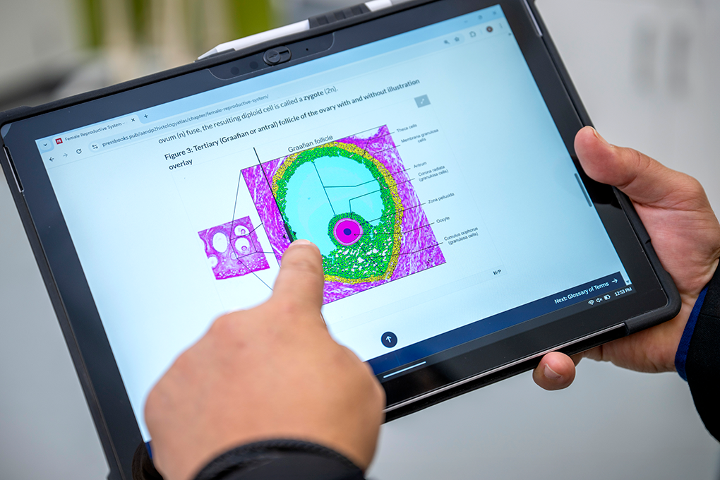 A man holds an iPad with an illustration of the cellular makeup of an ovary displayed on it.