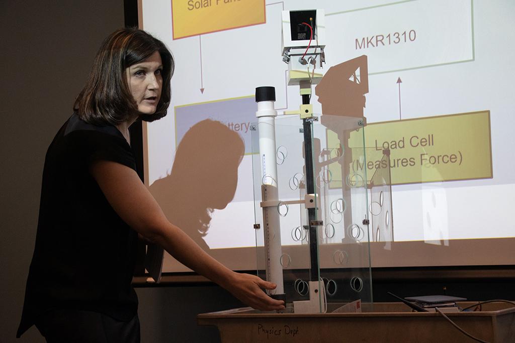 Woman giving a presentation