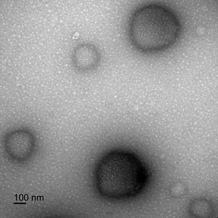 An image from a microscope shows nanoparticles and how they react to being in water.