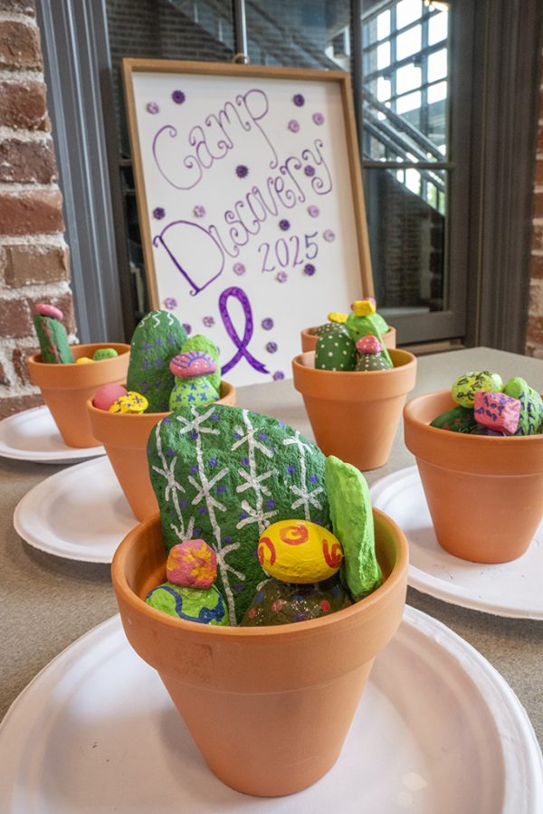 A rock garden made up of rocks in pots to look like cacti sits in front of a sign that says "Camp Discovery 2025"