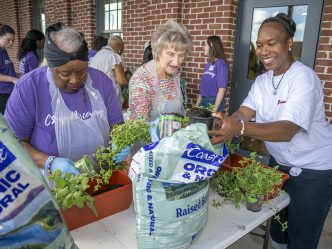 Women plant herbs in a portable garden