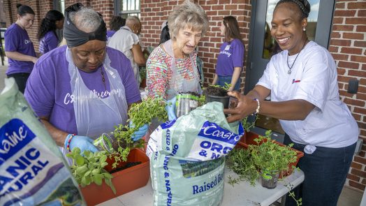 Women plant herbs in a portable garden