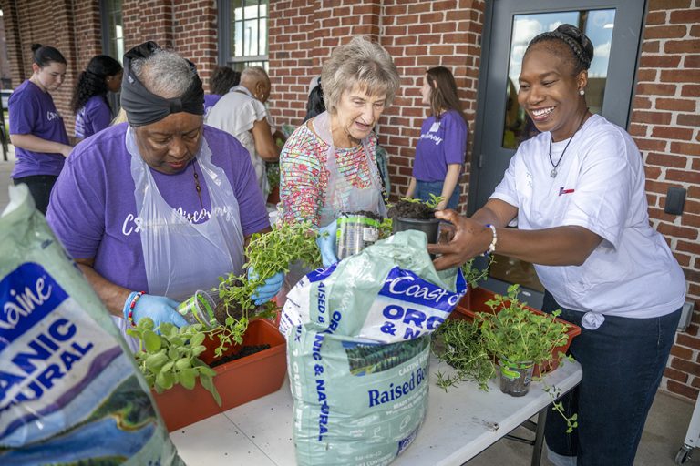 Women plant herbs in a portable garden