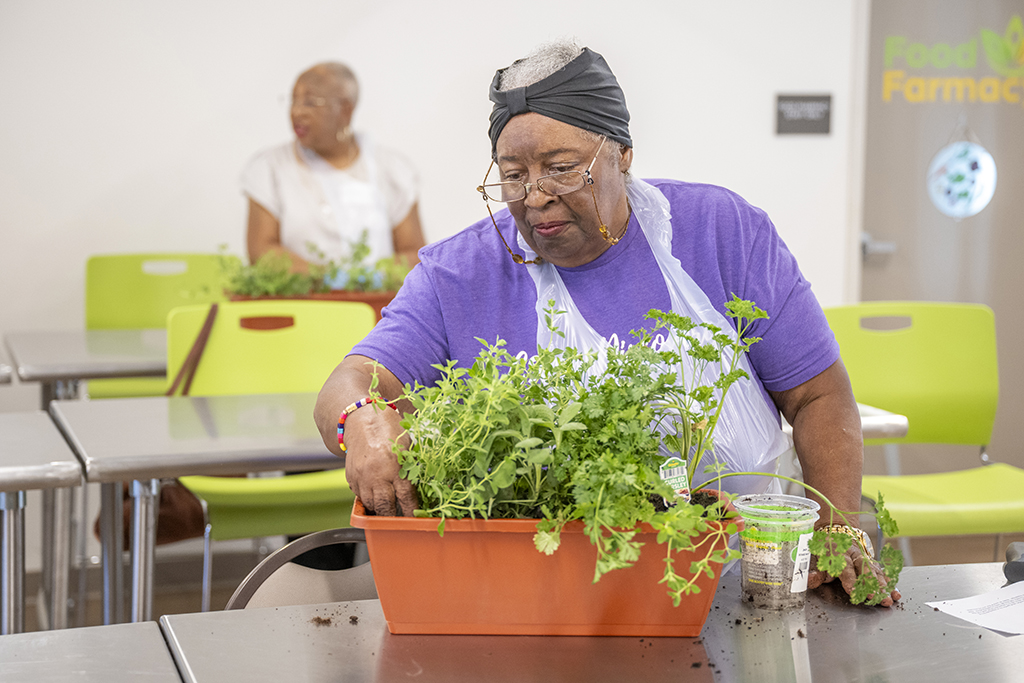 A woman stands at a metal table, planting an herb garden