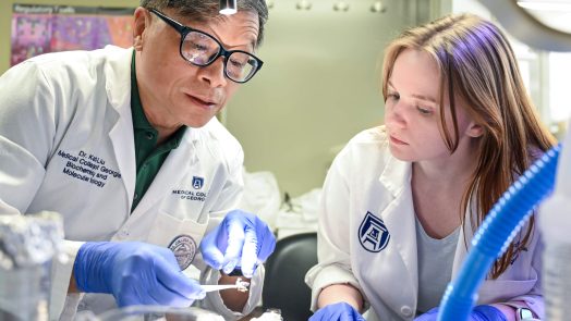 two researchers looking at equipment