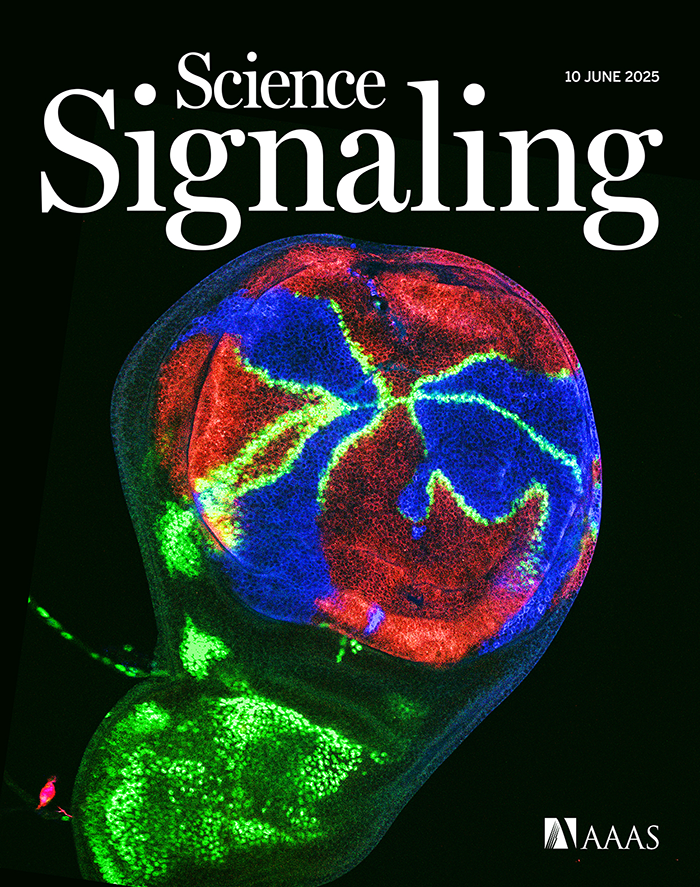 Cover of the June 2025 issue of Science Signaling, featuring an image of a developing fruit fly with sections highlighted in bright red and green, signifying bio-fluorescence.