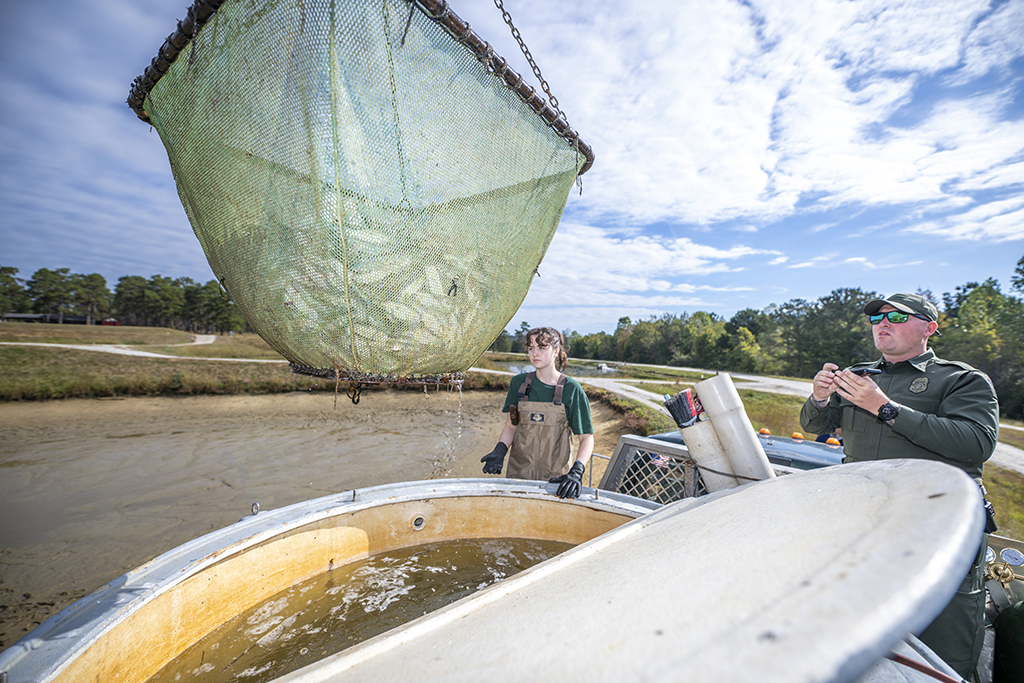 Woman waiting to release fish in a large water tank.