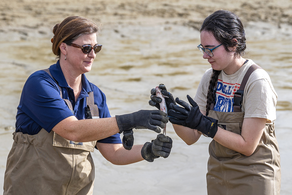 Two women handling fish