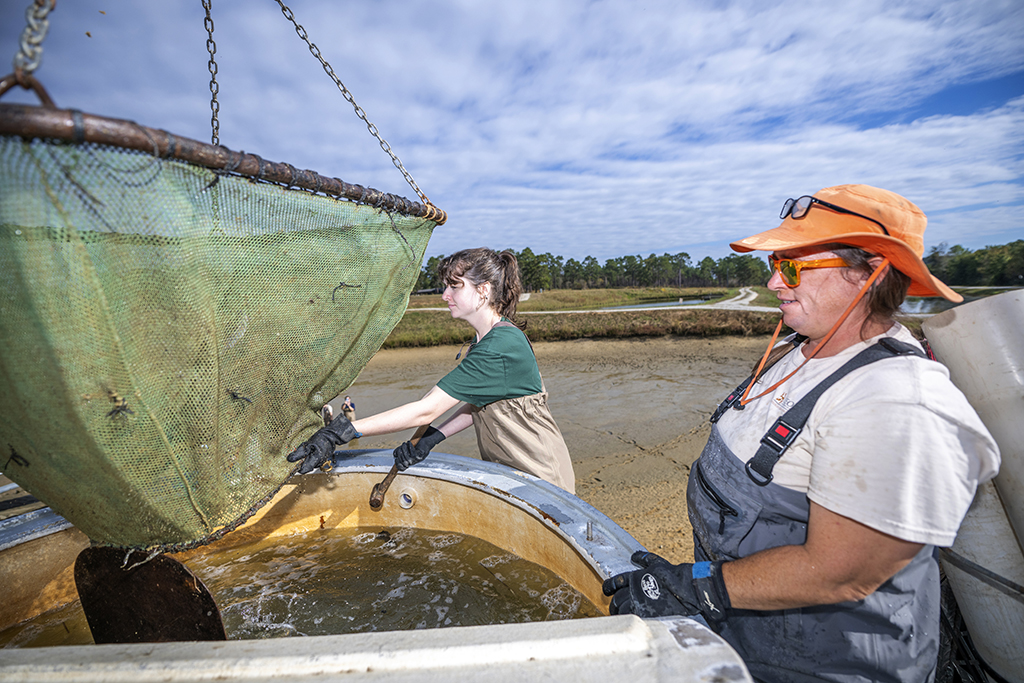 Two women releasing fish into a tank.