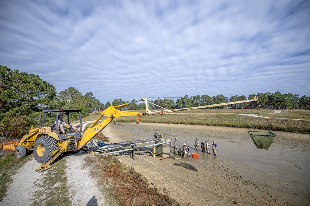 A crane prepares to move fish from a pond into a tank