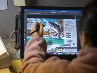 A person using computer technology to draw a bass