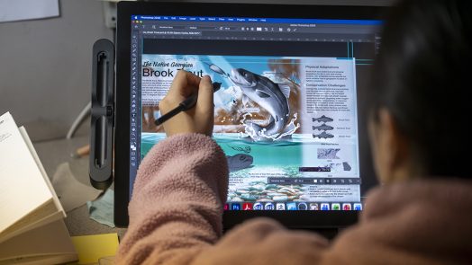 A person using computer technology to draw a bass