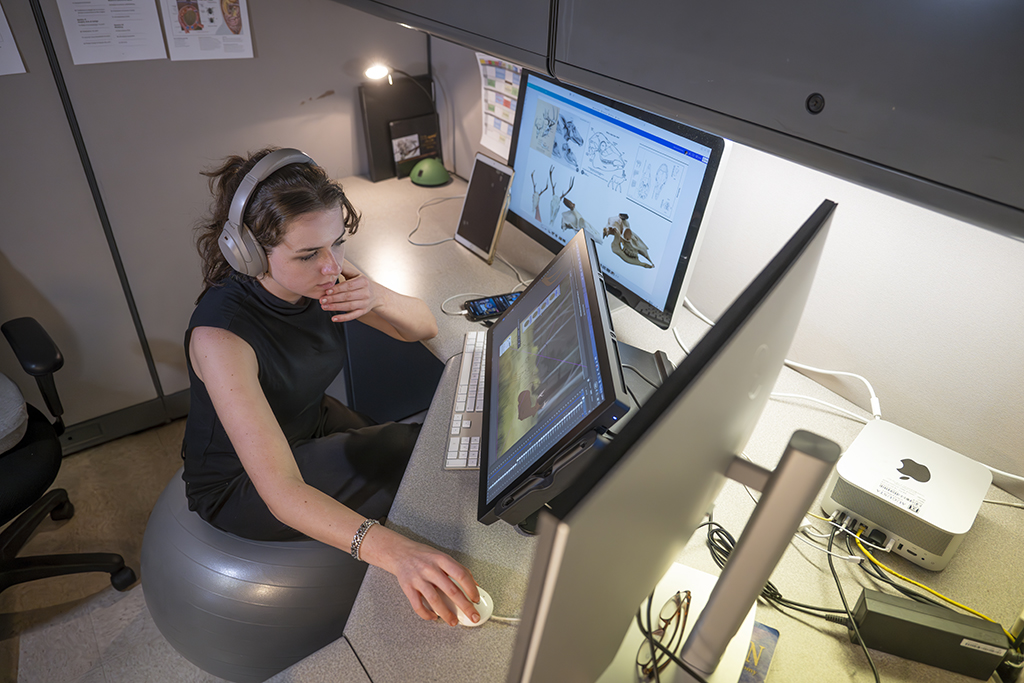 Woman working at a computer