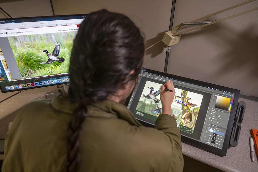 A woman illustrating ducks