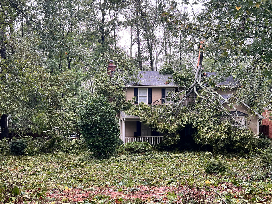 A damaged home, covered in fallen trees.