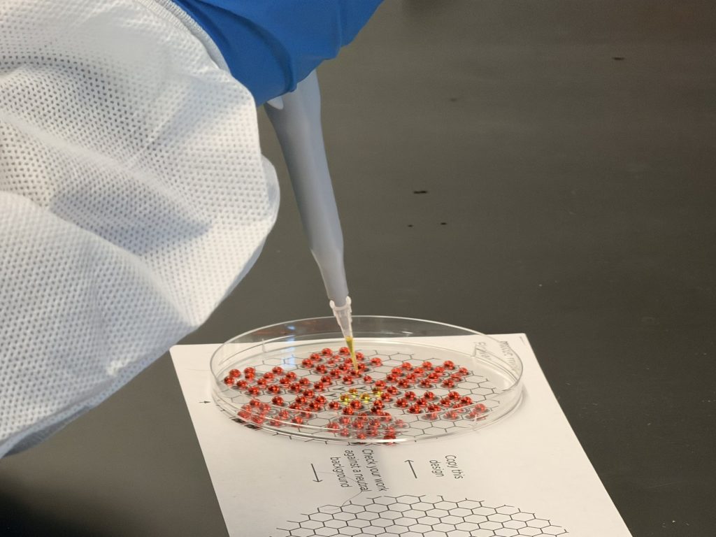 In this photo, you see a student using a pipette device to fill out a piece of paper with a diagram of a flower petal.