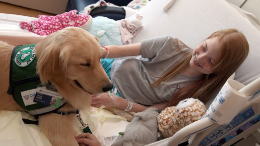 Girl in hospital bed with therapy dog.